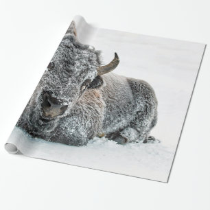Papel De Presente Foto da Neve de Buffalo