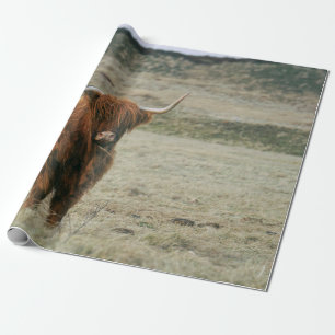 PAPEL DE PRESENTE FOTO DA VINTAGEM DE BOVINOS DE ALTA TERRA