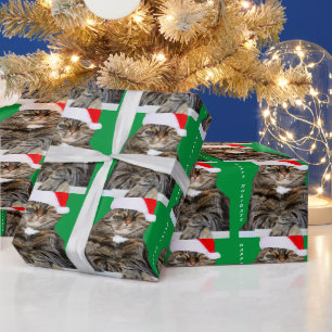 Papel De Presente Foto de Humbug de Cat Natal com Santa Hat