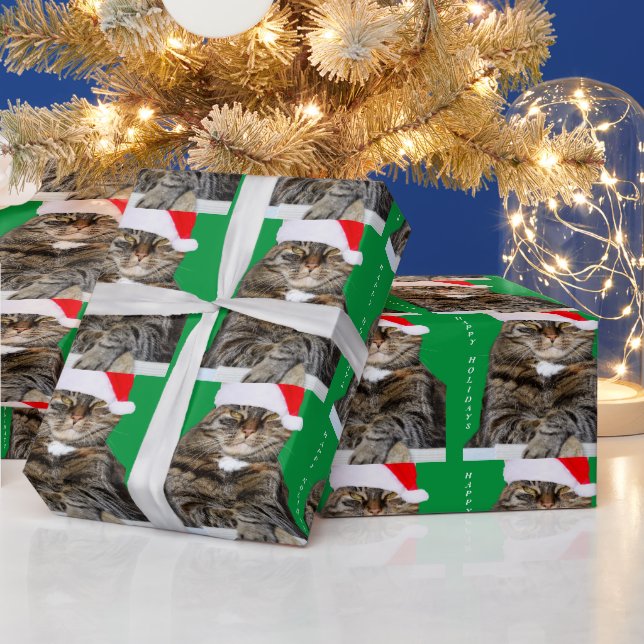 Papel De Presente Foto de Humbug de Cat Natal com Santa Hat (Feriados)