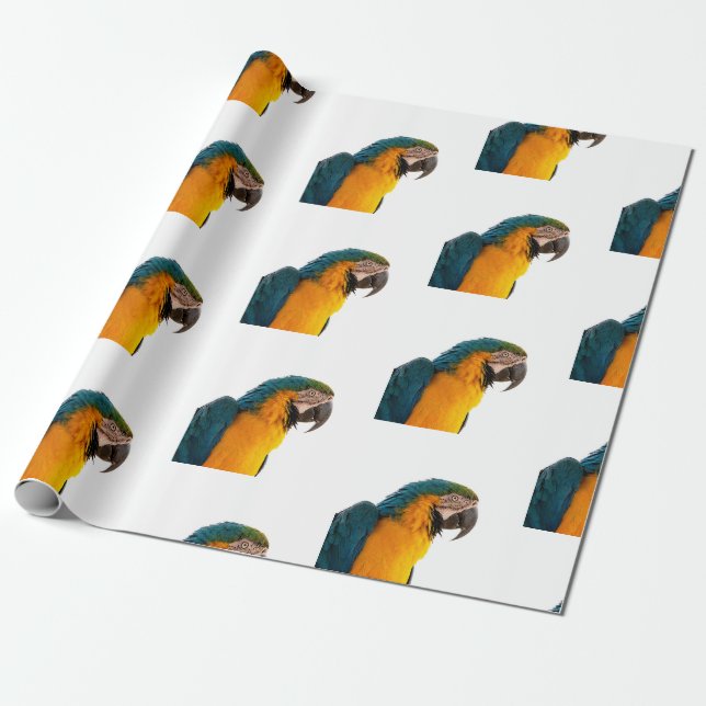 Papel De Presente Foto de Papagaio Arara (Desenrolado)