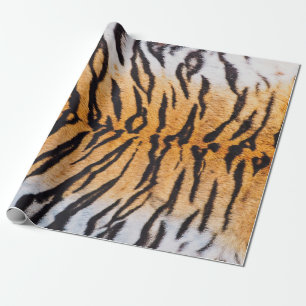 Papel De Presente Foto de um verdadeiro Tigre Indo-Chinês (Panthera