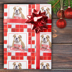 Papel De Presente Foto do Bulldog com Xadrez Vermelho Feliz Natal 