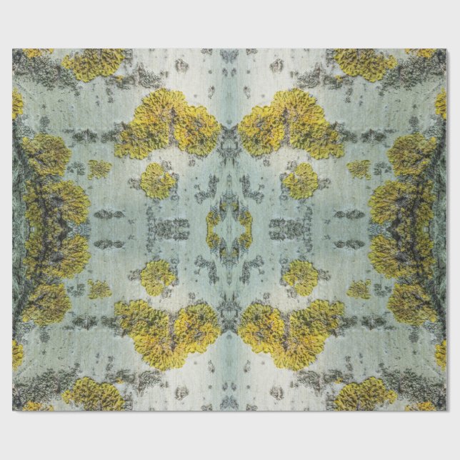 Papel De Presente Foto do Latido de Árvore Real Aspen - Amuleto Natu (Aberto)