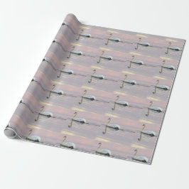 Papel De Presente Foto do pôr do sol com cisnes
