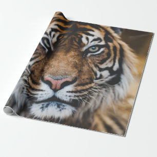 PAPEL DE PRESENTE FOTO DO ROSTO DE TIGER