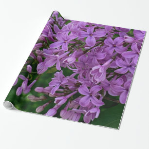 Papel De Presente Foto floral roxa lilás romântico elegante roxo