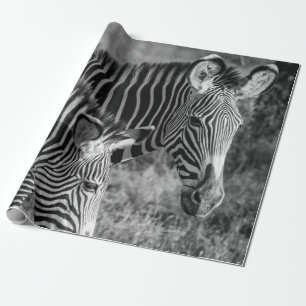 PAPEL DE PRESENTE FOTO GRAYSCALE DE ZEBRAS