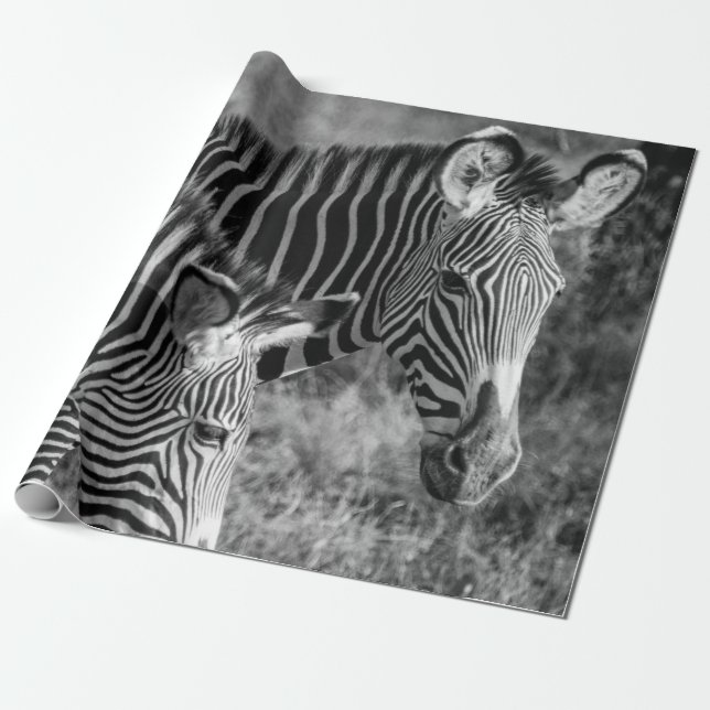 PAPEL DE PRESENTE FOTO GRAYSCALE DE ZEBRAS (Desenrolado)