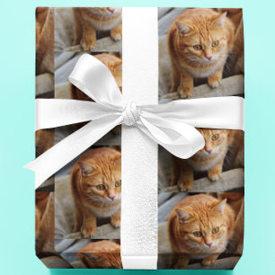 Papel De Presente Foto Personalizada de Cachorro Gato de Estimação