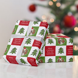 Papel De Presente Foto Pet Bonita de Santa Hat Verde