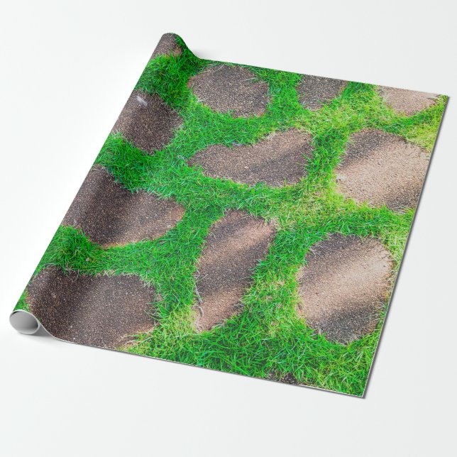 Papel De Presente Fotografia de alto ângulo no campo de grama (Desenrolado)