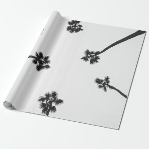 Papel De Presente Fotografia de baixo ângulo de seis árvores