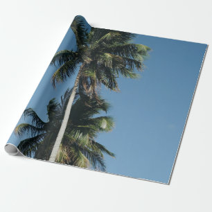 Papel De Presente Fotografia de baixo ângulo de três coqueiros