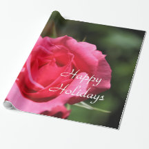 fotografia de rosa rosa-rosa perfeita, adorável, d