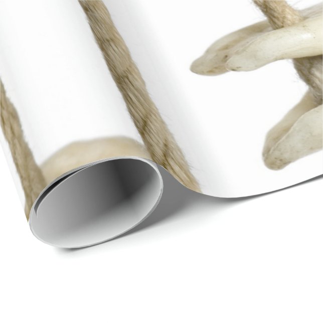 Papel De Presente Fotografia Dental Engraçada Dentista Extraído (Ponta do rolo)