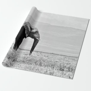 PAPEL DE PRESENTE FOTOGRAFIA GRAYSCALE DE ELEPHANT