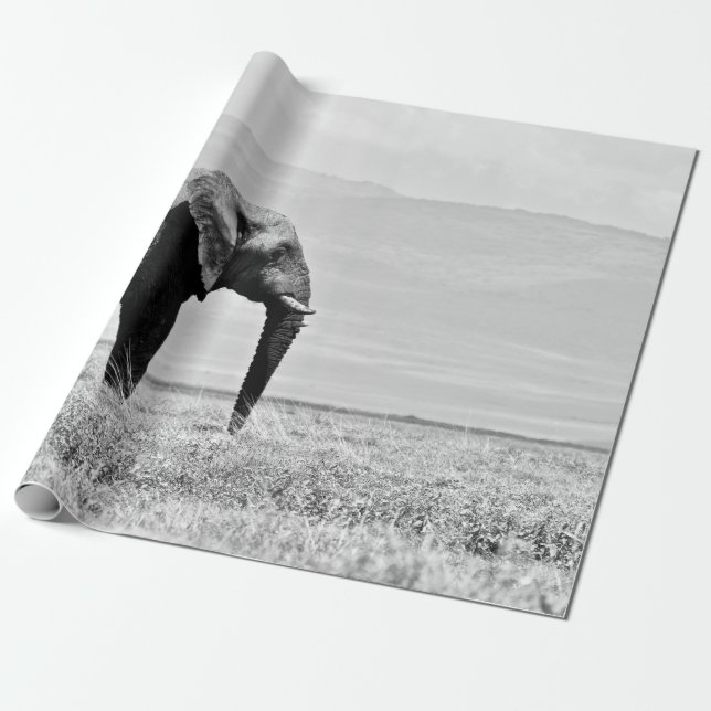 PAPEL DE PRESENTE FOTOGRAFIA GRAYSCALE DE ELEPHANT (Desenrolado)
