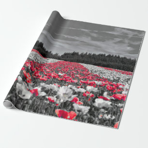 Papel De Presente Fotografia Seletiva de Cor Minimalista do Campo Fl