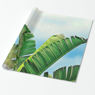 Papel De Presente Frondas desgastadas da palma contra o céu azul