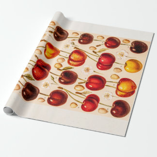 Papel De Presente Fruta antiga das cerejas das variedades da cereja
