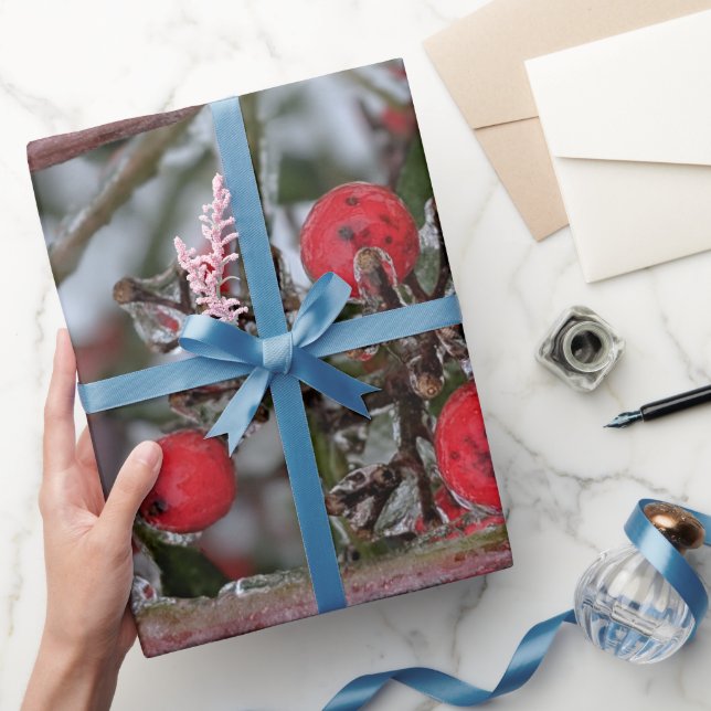 Papel De Presente Frutas Congeladas em um Galho de Árvore Foto  (Presentear)