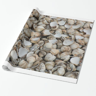 Papel De Presente Fundo de conchas