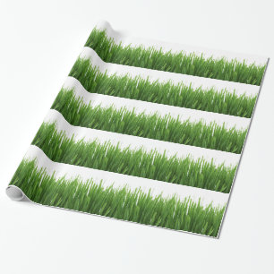 Papel De Presente Fundo de grama verde