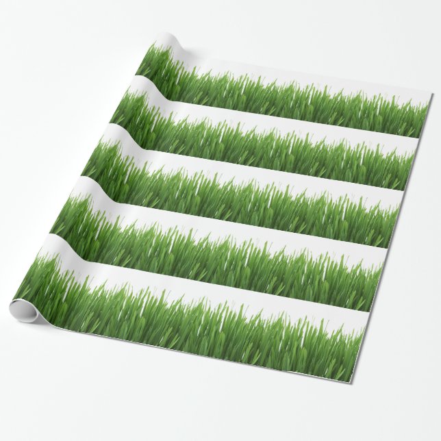 Papel De Presente Fundo de grama verde (Desenrolado)