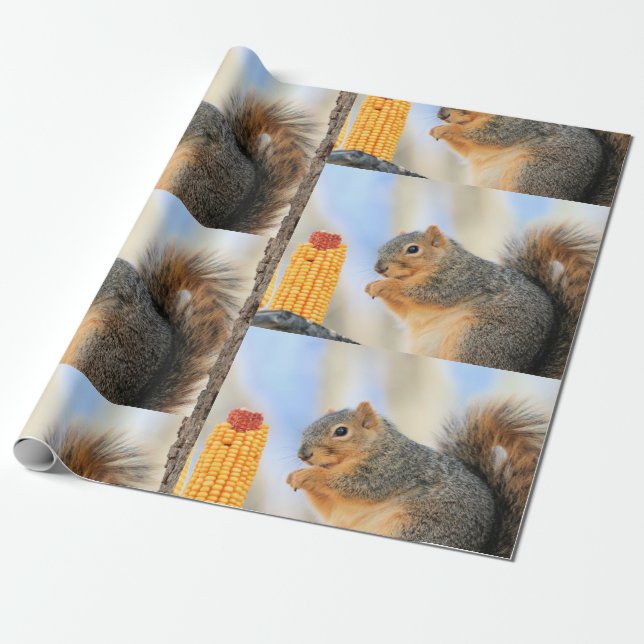 Papel De Presente Furball de hoje (Desenrolado)