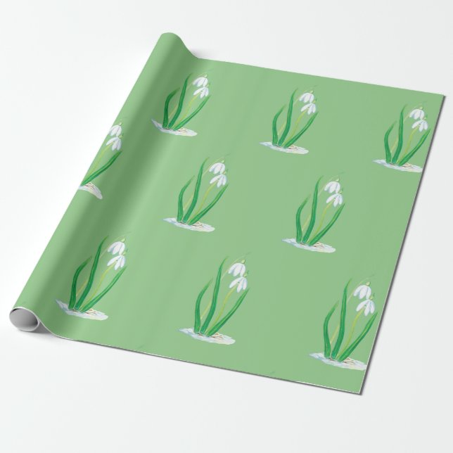 Papel De Presente Galanthus (Galanthus nivalis) (Desenrolado)
