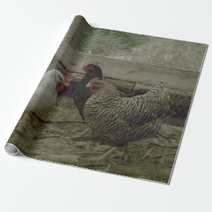 Papel De Presente Galinha Vintage Barnyard Country
