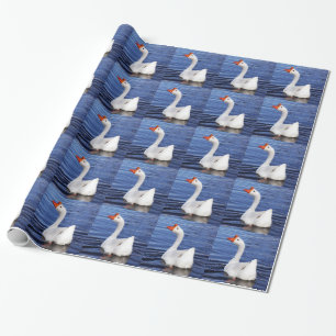 Papel De Presente ganso branco nadando em água azul