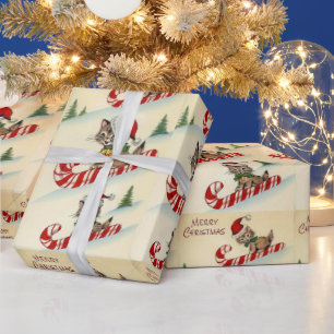 Papel De Presente Gatinho de Natal Montado em uma Cana de Açúcar