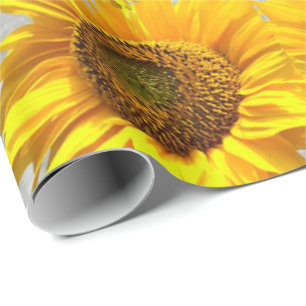 Papel De Presente Gatinho Glossy De Papel De Moldagem