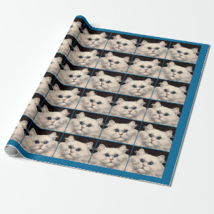 Papel De Presente gato branco com olhos azuis