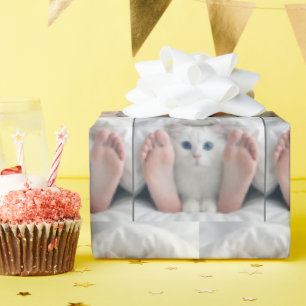 Papel De Presente Gato Branco e Pés Humanos Sob um Edredão