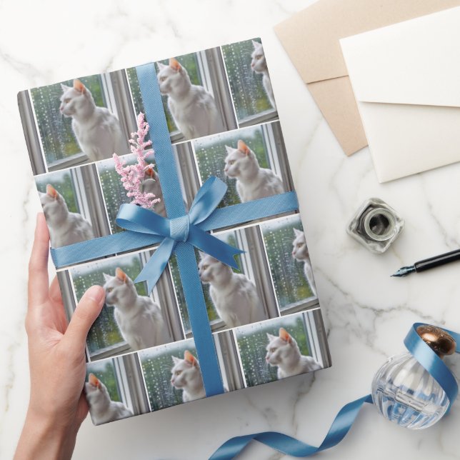 Papel De Presente Gato branco olhando para fora de uma janela chuvos (Presentear)