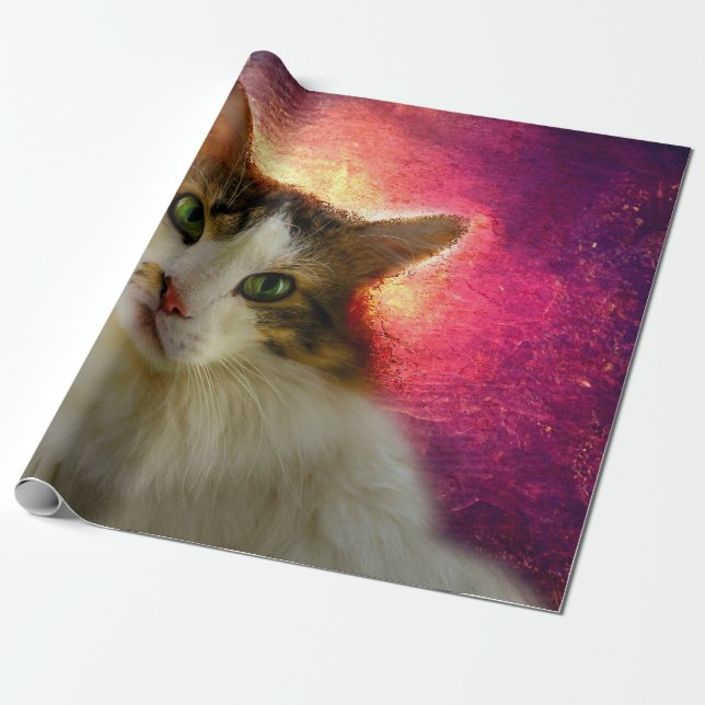 Papel De Presente Gato de Calico Cento Adorável (Desenrolado)
