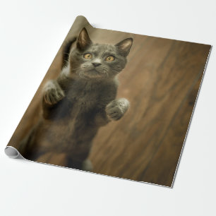 Papel De Presente GATO DE cinza EM DOIS PÉS