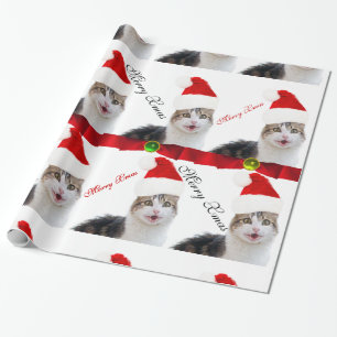 PAPEL DE PRESENTE GATO DE NATAL COM CHAPÉU DE SANTA CLAUS E BORRACHA