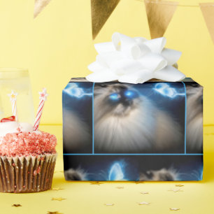 Papel De Presente Gato De Ragdolas Com Borboleta Azul De Neon