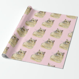 Papel De Presente Gato de Ragdoll que desenhava a mão