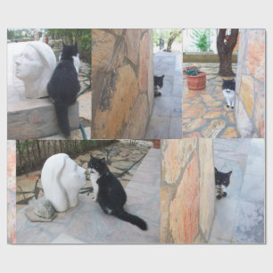 PAPEL DE PRESENTE GATO DETECTIVO ATRÁS DA PAREDE DA PEDRA