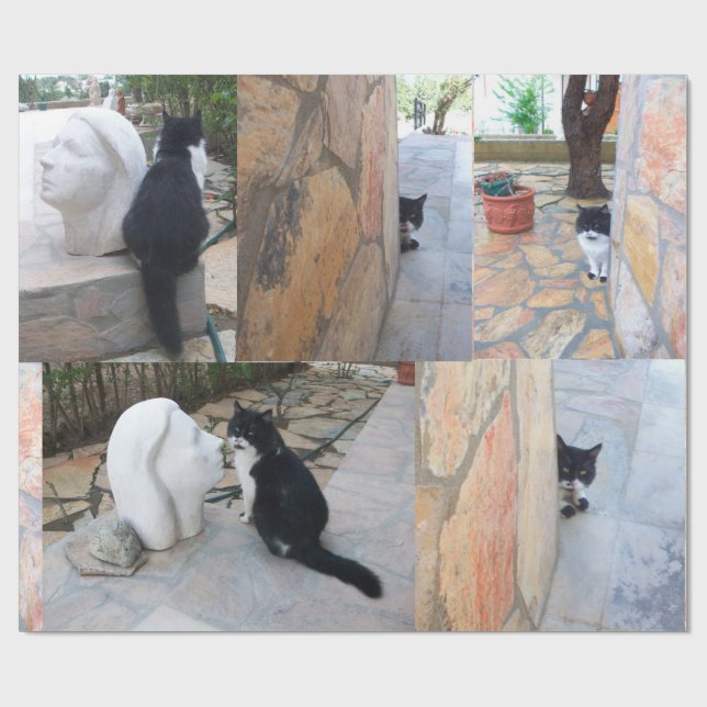 PAPEL DE PRESENTE GATO DETECTIVO ATRÁS DA PAREDE DA PEDRA (Aberto)