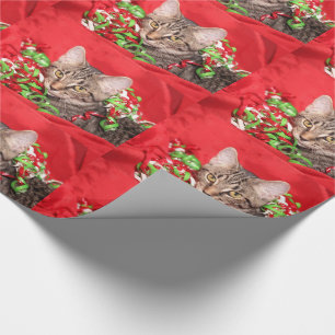 Papel De Presente Gato do gatinho do gato malhado do Natal