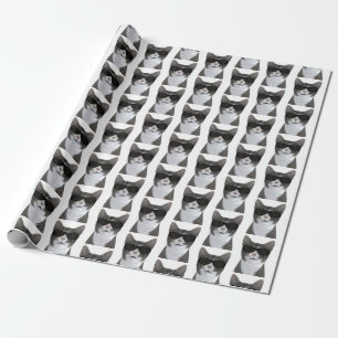 Papel De Presente Gato Mais Legal Da Cidade