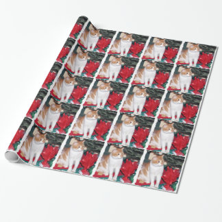 Papel De Presente Gato na Árvore de Natal