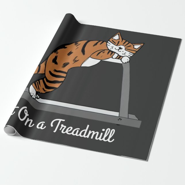 Papel De Presente Gato numa passadeira (Desenrolado)