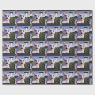 Papel De Presente Gato Selfie Com Disco Voador Alien